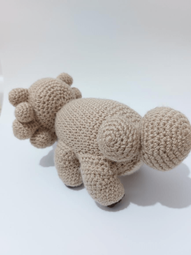 Bidoof - Pokemon 